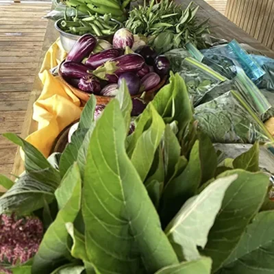 Wenner Hill Gardens Fresh Vegetable Harvest Display