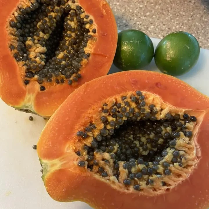 Wenner Hill Gardens Ripe Papaya